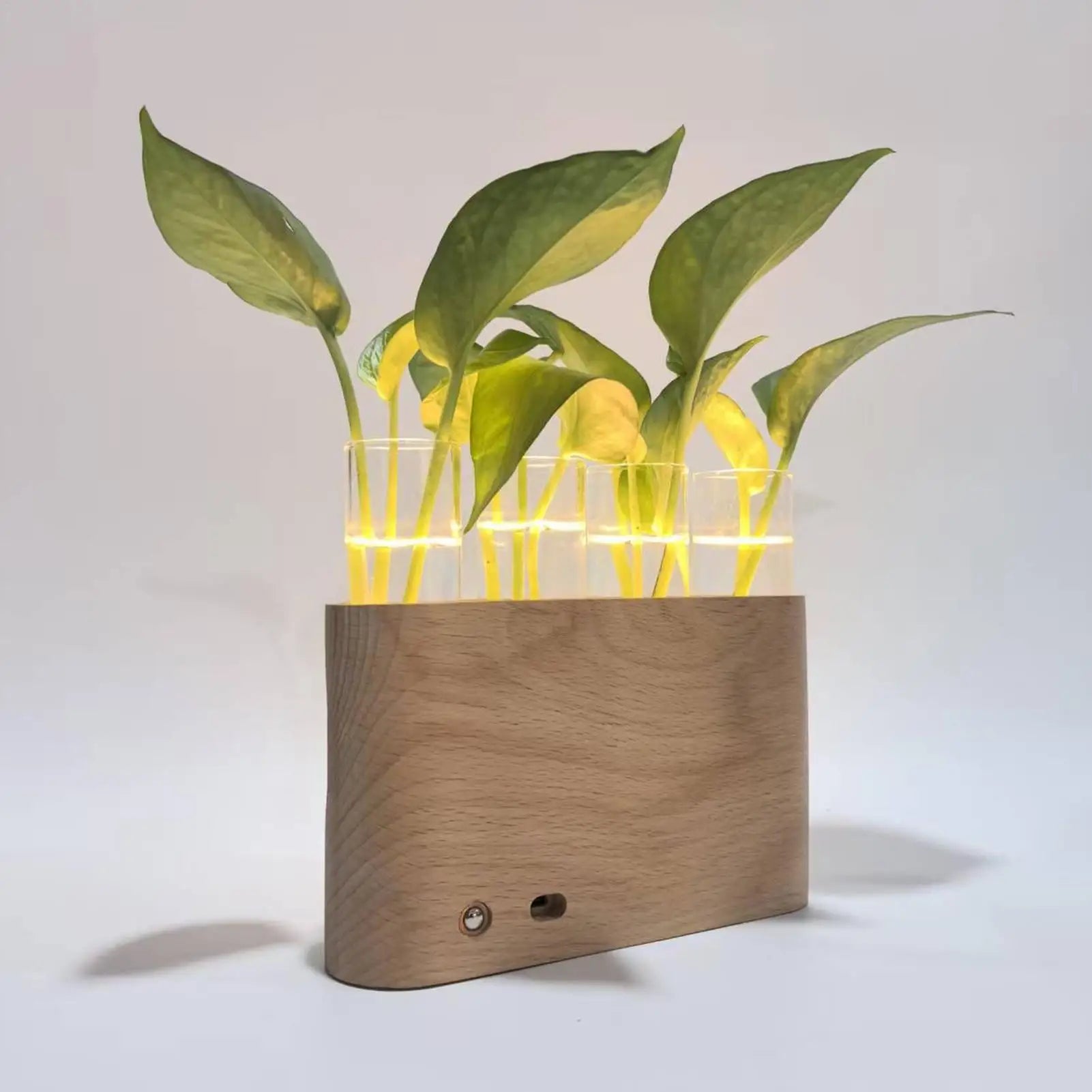 LED Plant Propagation Station Hydroponic Glass Test Tube Terrarium with Wood Stand for Water Rooting Cuttings Home Office Decor