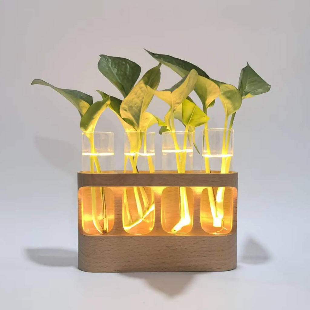 LED Plant Propagation Station Hydroponic Glass Test Tube Terrarium with Wood Stand for Water Rooting Cuttings Home Office Decor
